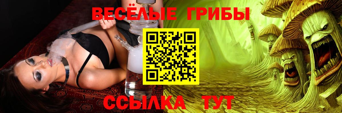Псилоцибиновые грибы Psilocybine cubensis Юрга